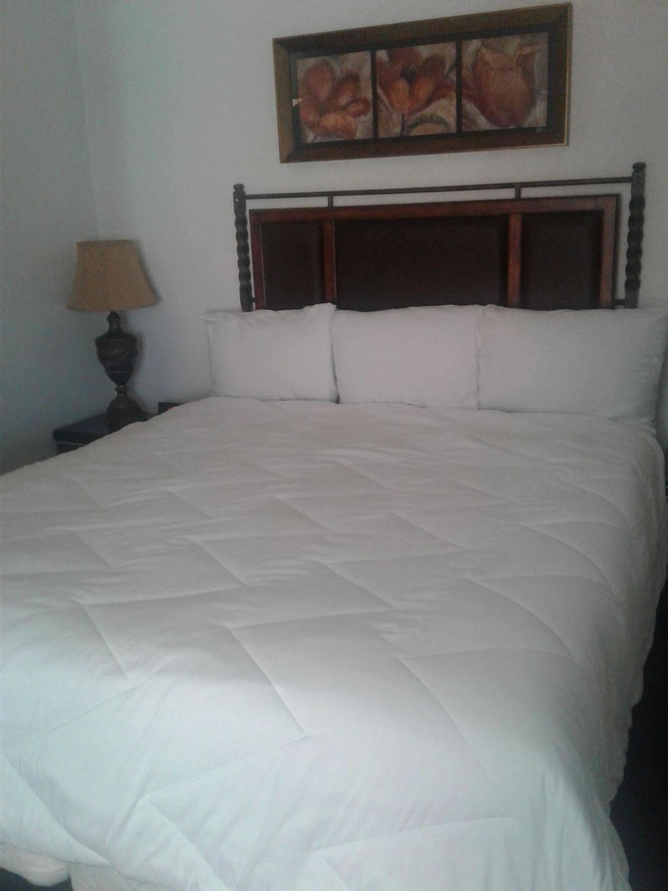 Desert Rose Inn 雷诺 外观 照片
